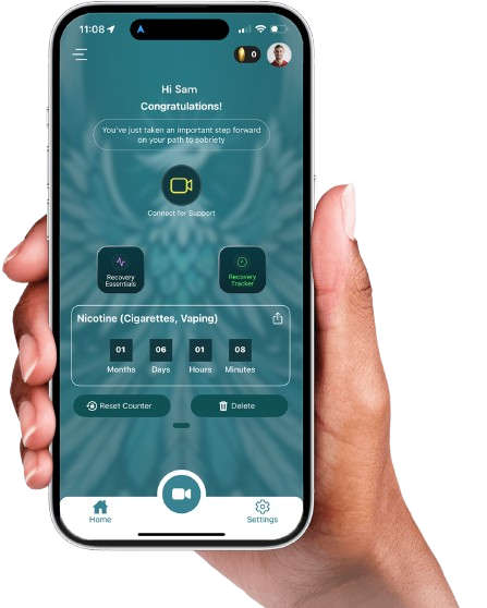 Connect Sobriety mobile recovery app dashboard